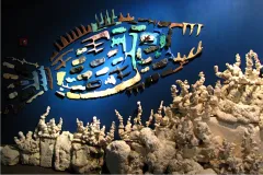 A fish made from pieces of plastic found on the beach swims above a bleached reef made of Styrofoam. 