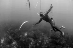 Traditional fishing techniques now involve monofilament nets, with snorkelers diving down to ensure the bigger fish don't get away. 