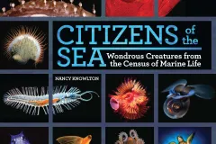 Cover of the Book Citizens of the Sea