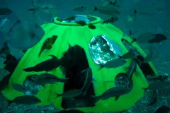 EPA divers from Atlanta place this instrument in Charleston Harbor in order to monitor currents and better predict sand movement for a harbor deepening project.