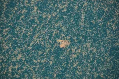 An underwater blizzard of oil, marine microbes, "sea snot", and algae.