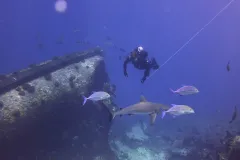 Christian McDonald, the Scientific Diving Safety Officer at the Scripps Institution of Oceanography, tows a surface float at Millennium Atoll in the South Pacific. 
