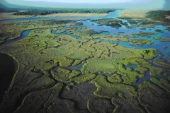 A birds eye view of an estuary
