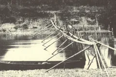 Fish spears and traps placed in rivers are traditional ways of catching salmon.