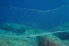 A net sits underwater. 