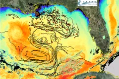 Drifters deployed into the Gulf of Mexico sent location information back to scientists through a GPS satellite. Some of the 5.7 million data points about the drifters locations are seen in this map of the Gulf. 