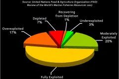 These statistics come from a United Nations Food & Agriculture Organization review.