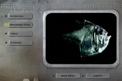 Take a look at strange deep-sea creatures rarely seen before.