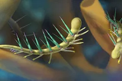 an ancient worm-like creature with spikes on its back