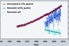 A graph showing rising levels of CO2 in the atmosphere over time. 