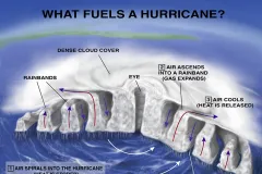 Illustration that shows a cross-section of a hurricane. 