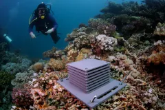 A scuba diver near an ARMS atop a coral reef
