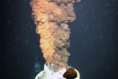 Dispersant in the Deep: Dispersants, soap-like chemicals that cause oil to mix with water more easily, have been used with success to remove oil after a spill on the ocean's surface. But Deepwater Horizon wasn't a surface spill; instead, oil spewed into th
