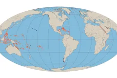 Shallow water coral reefs straddle the equator worldwide.