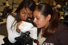 Students share a microscope to get a closer look at plankton samples from the Deepwater Horizon Oil Spill.
