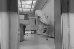 A view of the blue whale model in the Life in the Sea exhibit hall