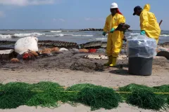 Health, Safety, and Environment (HSE) workers contracted by BP clean up oil on the beach in Port Fourchon, La. May 23, 2010.