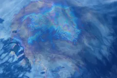 This rainbow sheen on the sea surface is what it looks like when the oil bubbles make it to the sea surface. 