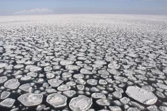 pancakes of ice cover the ocean