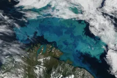 The bright, brilliant swirls of blue and green seen from space are a phytoplankton bloom in the Barents Sea. 