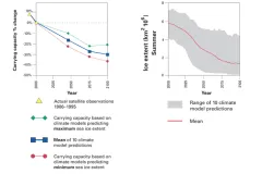 Scientists document a direct relationship between Arctic sea ice and polar bear survival.