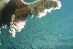 Rusticles on the HMS Titanic cover the hanging stern.