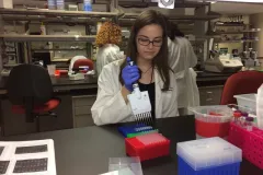 NMNH intern in the lab.