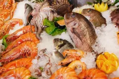 fish, shrimp, and an octopus displayed in a tub of ice