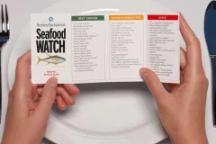 Monterey Bay Aquarium's Seafood Watch will recommend which fish are "Best Choices" for sustainability, which are "Good Alternatives," and which ones you should "Avoid."