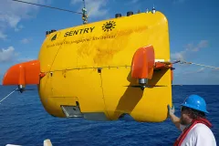 The autonomous underwater vehicle (AUV) Sentry was used in the Gulf of Mexico directly after the Deepwater Horizon oil spill in 2010 to map oil plumes and to search for hard bottom on the sea floor.