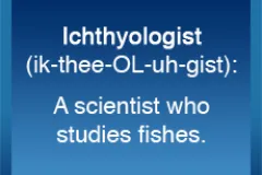 Ichthyologist (ik-thee-OL-uh-gist): a scientist who studies fish.