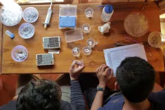 Students working on a marine genetics project at the Indonesian Biodiversity Research Center in 2011.