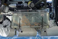 The Johnson-Sea-Link submersible returns with a specimen of Keratoisis bamboo coral inside its collection box. 