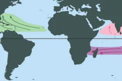 A map of the hurricane basins around the globe
