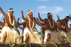A large group of dancers from the island of Tokelau dance during fiafia, evening entertainment) 