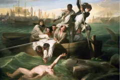 A painting of a shark attacking a man
