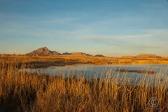 The grasses and animals living in marshes help to filter water and stabilize shorelines, along with providing habitat for a variety of mammals, fish, shellfish and amphibians and a haven for migratory waterfowl. 