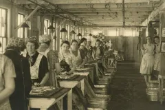 rows of women in a sardine factory at their tables with sardines on them