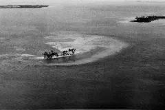 an island in black and white from above