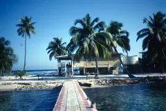 a tiled dock leads to a tropical island