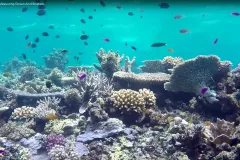 Harmful effects of ocean acidification are especially noticeable in near-shore environments where ocean life is highly concentrated. Thankfully&nbsp;newer, more cost-effective technology has allowed scientists to double down on monitoring efforts along sho