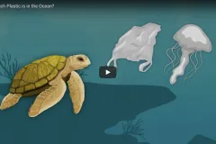 The video series "It's Okay To Be Smart" takes a look at the world of single-use plastic and its impact on the ocean.
