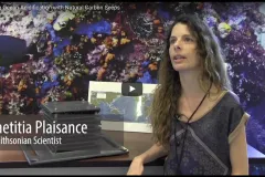 Thumbnail of Ocean Acidification scientist being interviewed.