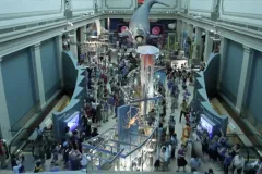 view of the visitors dancing in ocean hall