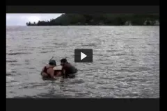 A screenshot from video showing researchers collecting snapping shrimp off Moorea.