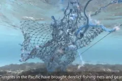 derelict fishing nets
