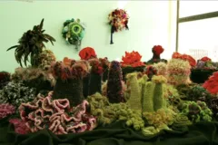 yarn artwork of coral