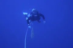 a diver in blue water