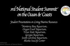 a screenshot of the opening credits