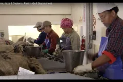 people shucking oysters